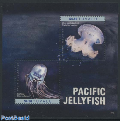 Pacific Jellyfish s/s