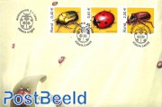 Beetles 3v